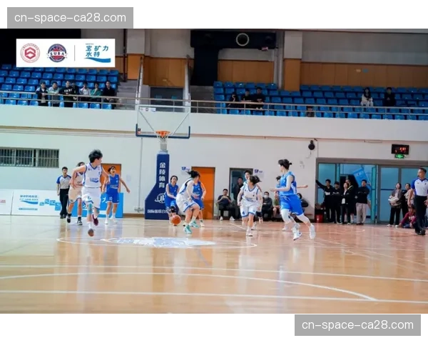 投篮效率在现代女子篮球中的战术价值演变